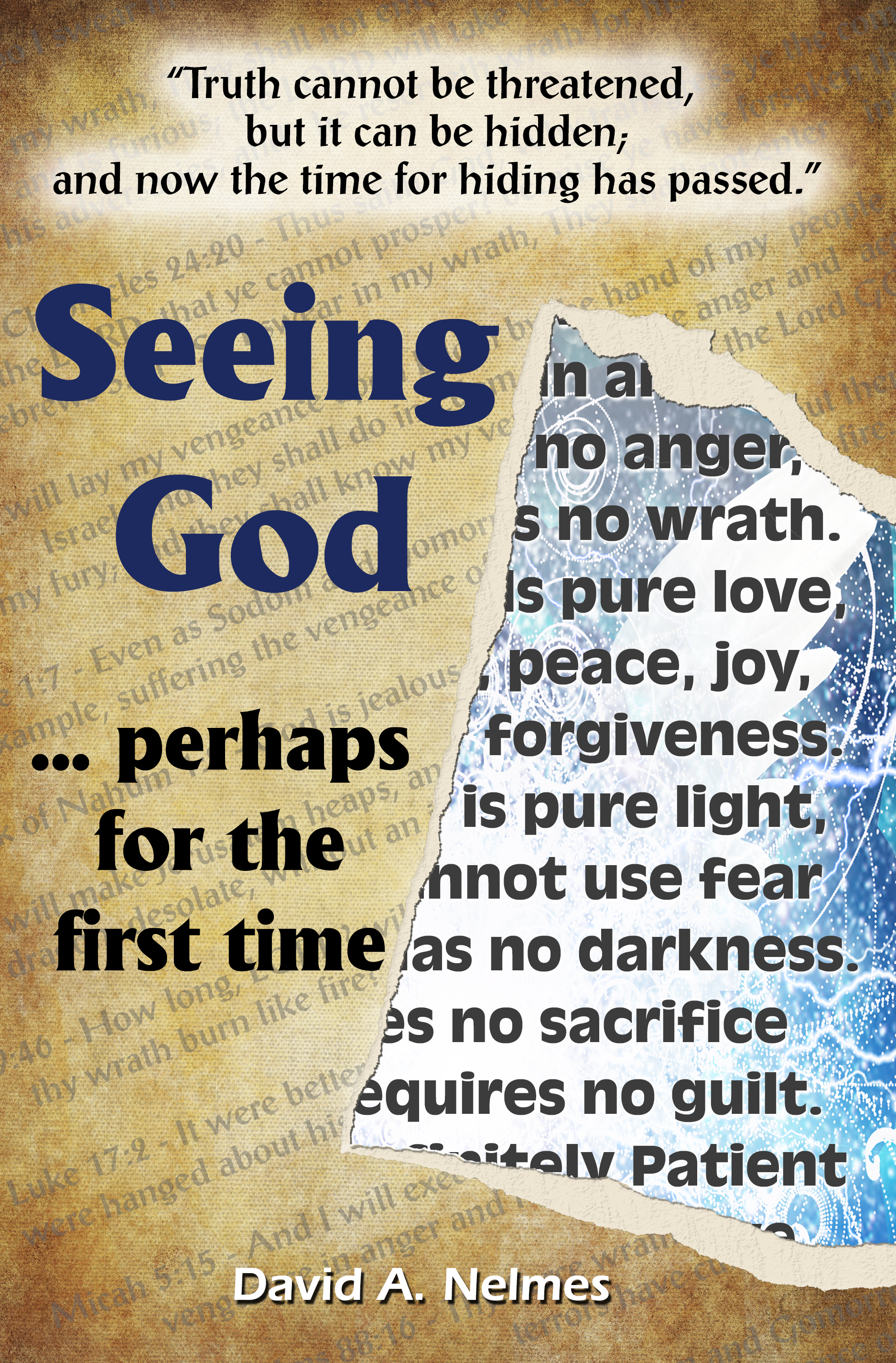Seeing God - Perhaps for the First Time book by David Nelmes